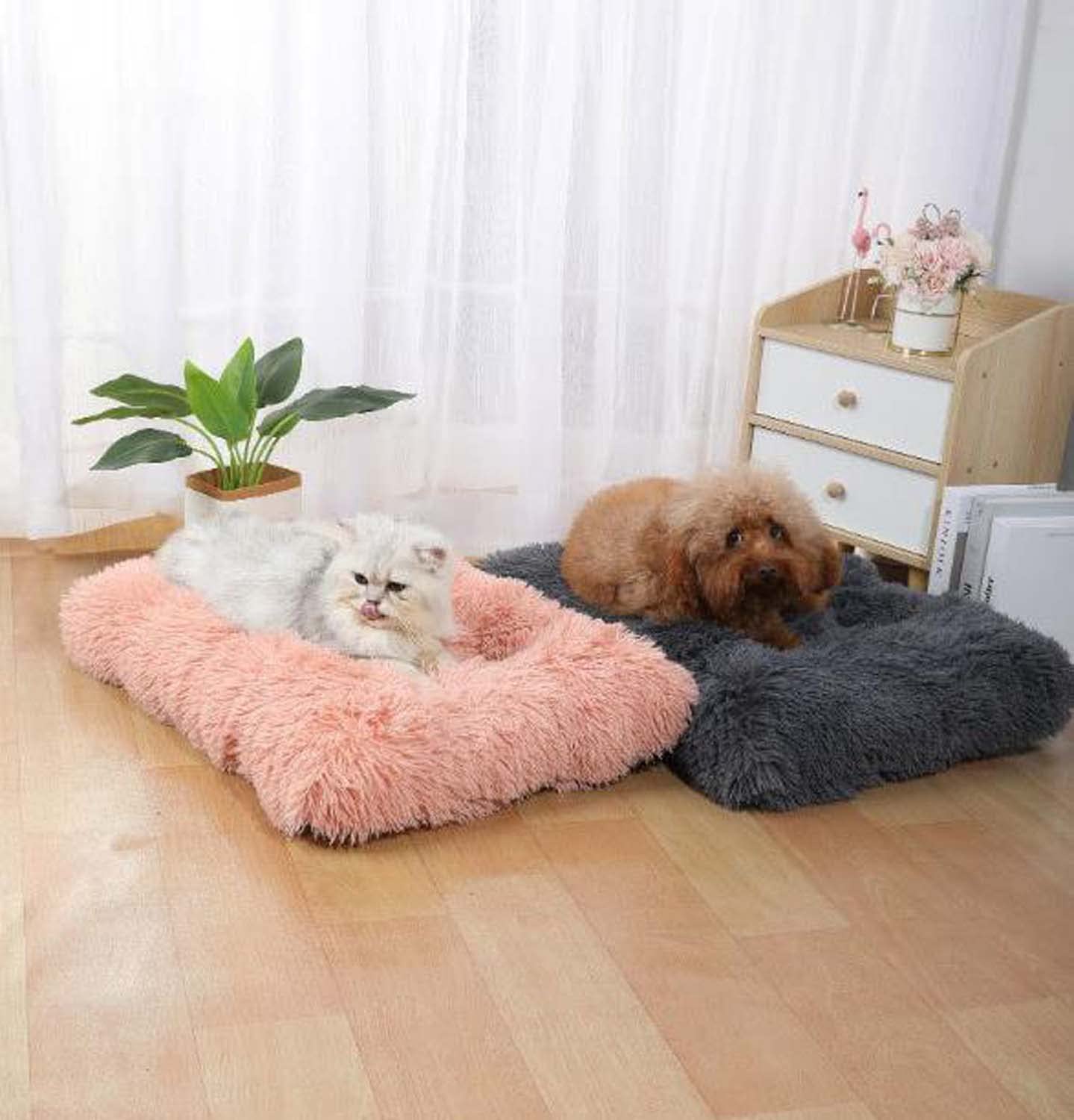 Xpnit Hundebett-Matratze Größe L – 100x70x10 Cm, Waschbar, Mit Rutschfester Unterseite