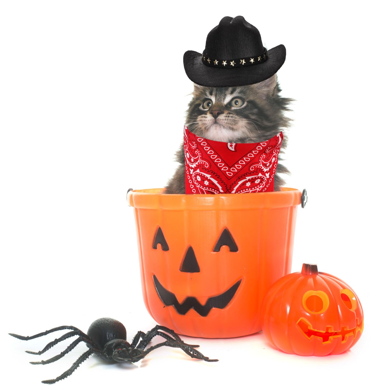 PEUTIER Kostium kowboja, psa i kota, kostium na Halloween, akcesoria dla małych zwierząt domowych (czarny, czerwony)
