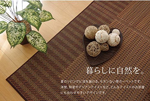 【amazon.co.jp 限定】 イケヒコ 日本製 い草 ラグ カーペット ブラウン 2畳 正方形 Fナール 約191×191cm 国産 ふっくら すべりにくい 裏貼り ヒバ加工 #8231520 [5]