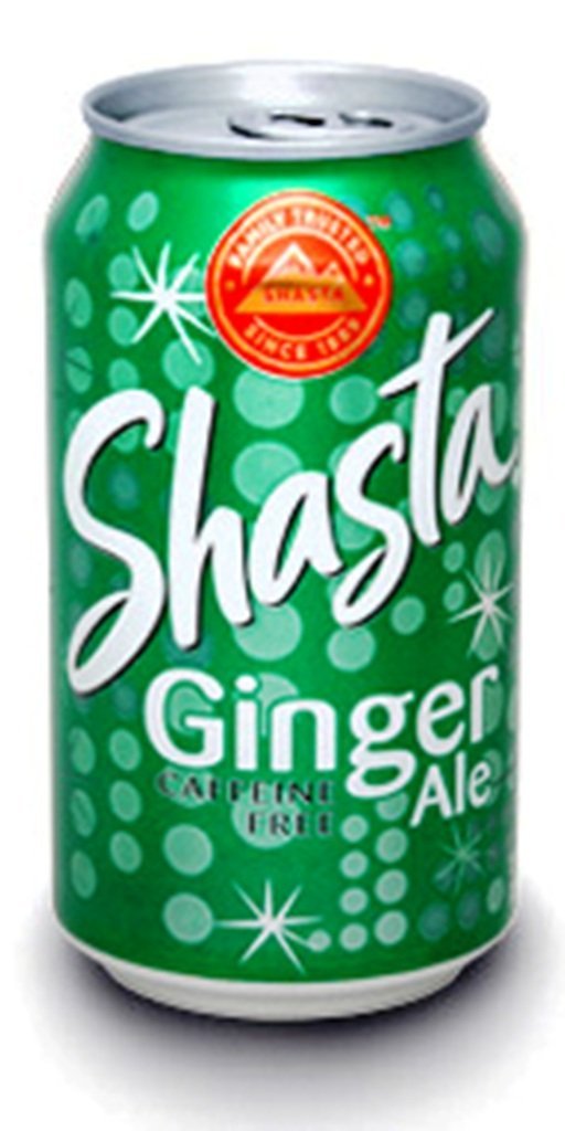Shasta Ginger Ale 12oz Cans, 24-Pack - Classic Fizzy Soft Drink Bulk Buy