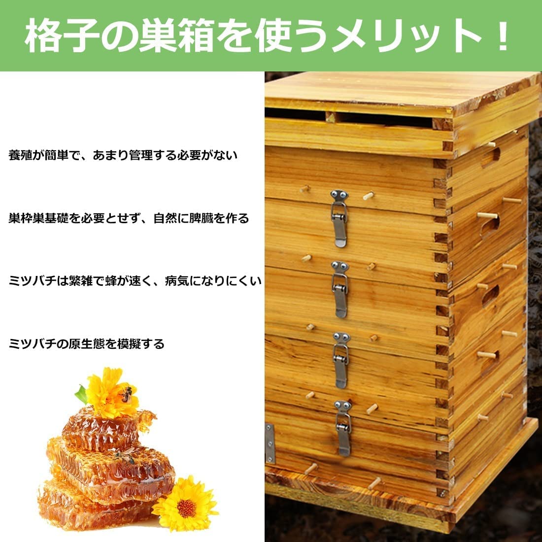 Amazon | 蜜蜂巣箱 ミツバチ 巣箱 重箱式 養蜂箱 杉材 蜂ハイブ 格子箱