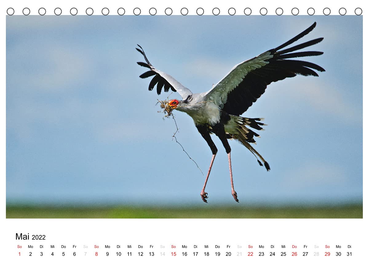 Afrikanische Vögel (Tischkalender 2022 DIN A5 quer): Fotografische Momentaufnahmen aus der gefiederten Tierwelt Afrikas (Monatskalender, 14 Seiten ) (CALVENDO Tiere)