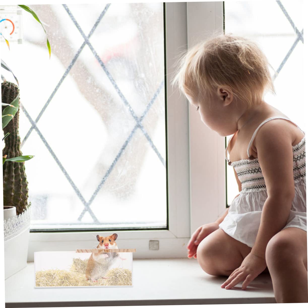 IMIKEYA Transparente Chinchilla Badewannen aus Acryl und Holz 2 Stück Leicht und Sicher für Empfindliche Kleintiere zum Baden und Spielen zu Hause
