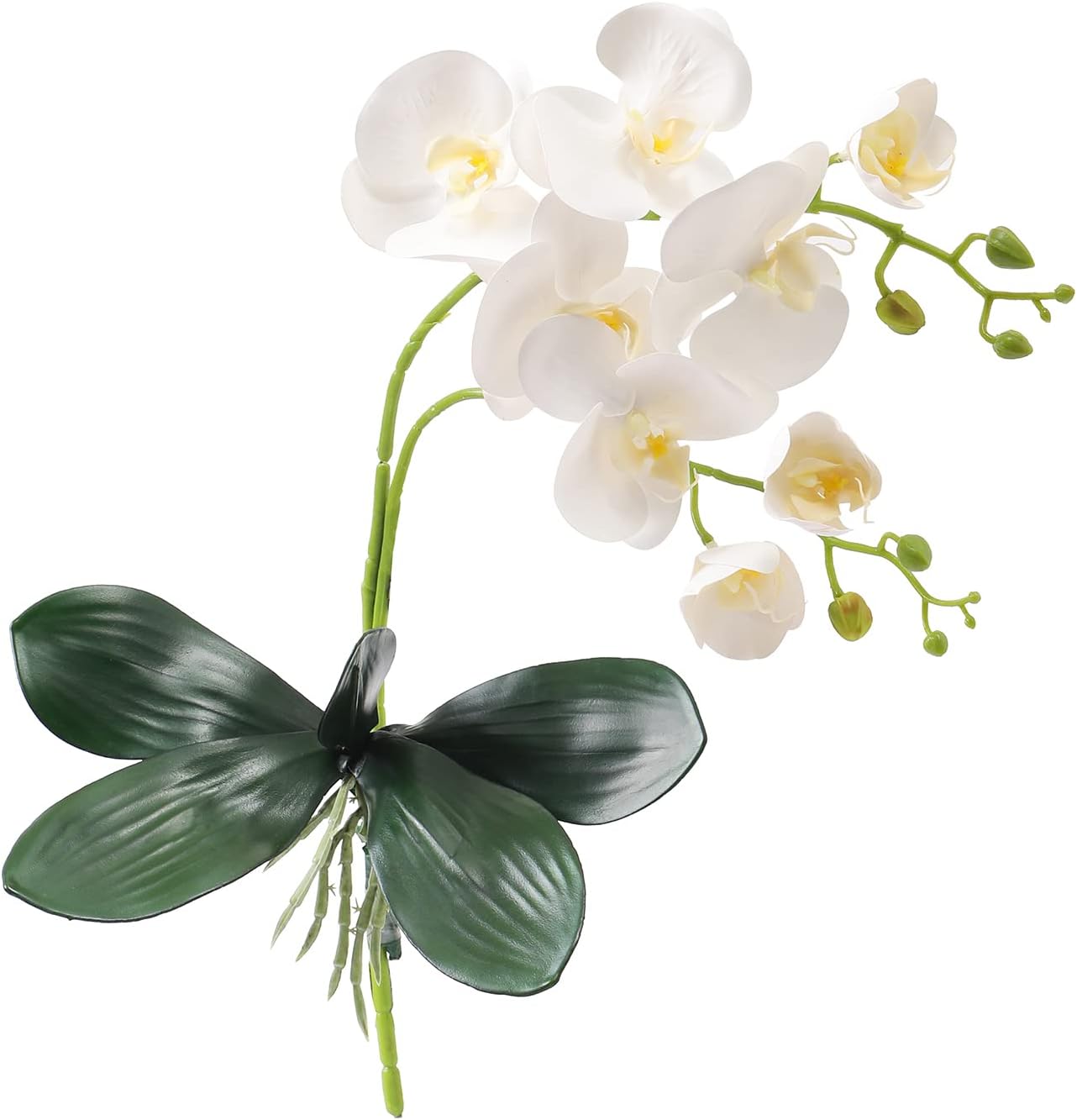 Artificial Phalaenopsis with Leaves Plants,White Faux