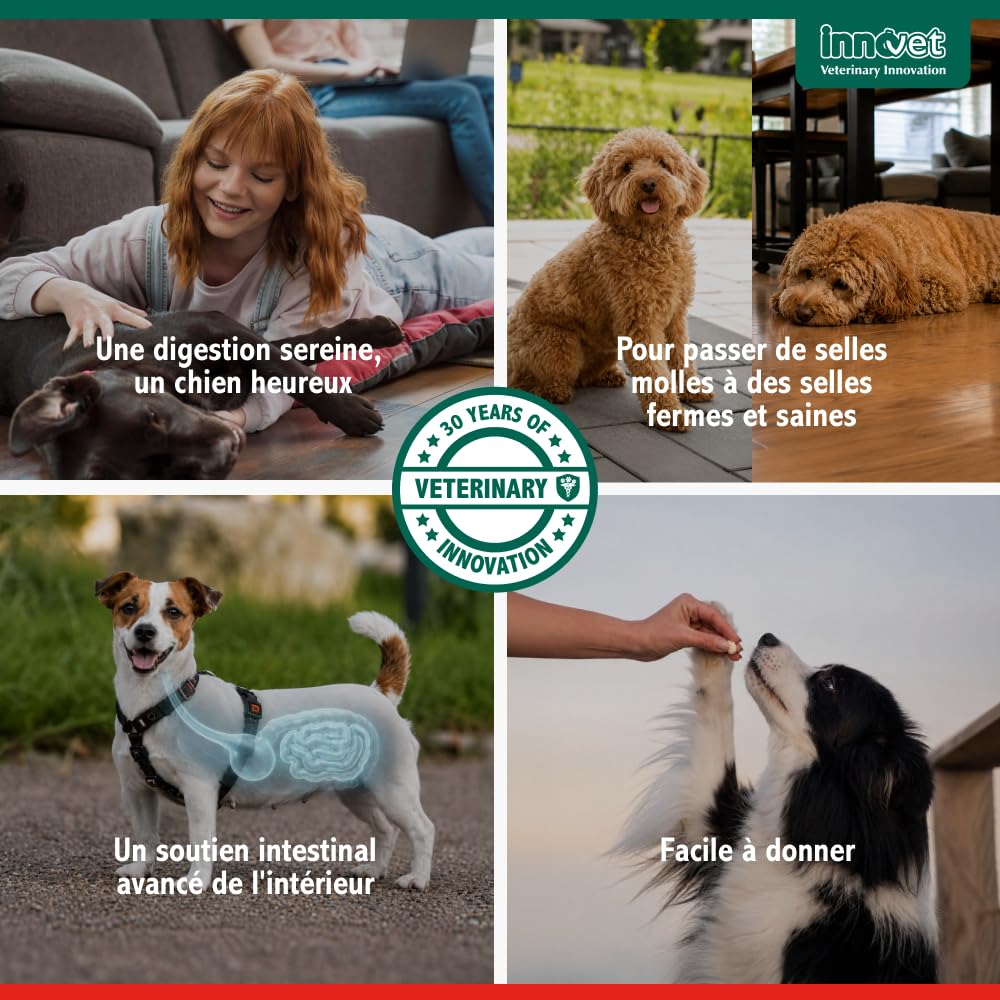 Innovet Normalia Extra Digestion Santé Intestinale pour Chien 30 comprimés
