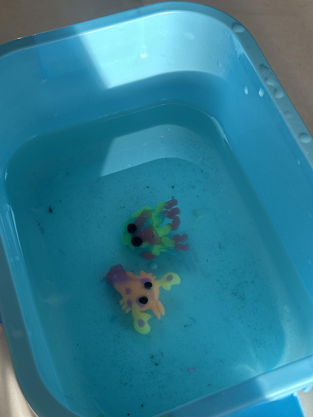 The most fun craft we’ve had