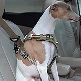 Hunde Sicherheitsgurt Sicherheitsschnalle, Hundeauto-Sicherheitsschnalle, geeignet für alle Arten von Auto-Sicherheitsgurten, Schnalle im Hundehalsband oder Geschirr, einfach zu bedienen, Schwarz