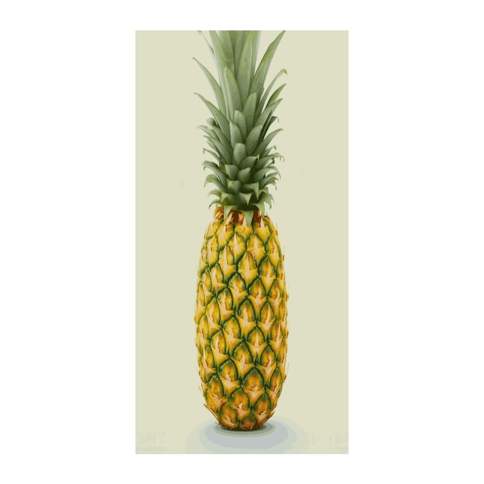 Fekiloot Style Fresh Pineapple Door Curtain Room Divider Curtains