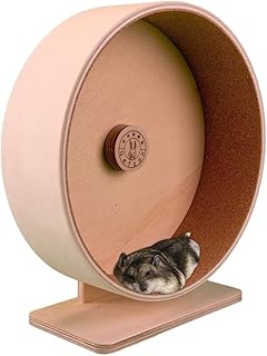 Getzoo Ø 27 cm Korklaufrad (Ø 25,4 cm Innen) mit austauschbare Korkeinlage I Für Hamster & Farbmäuse I Hochwertig I Verstellbar I Hohe Sicherheit