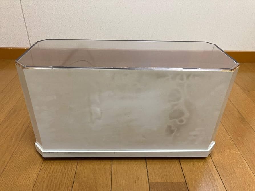 遠洋定期船 SSアルゼンティーナ 船の模型 置物 模型レトロ現状★時代物★ 遠洋定期船 SSアルゼンティーナ 船の模型 置物 模型レトロ現状