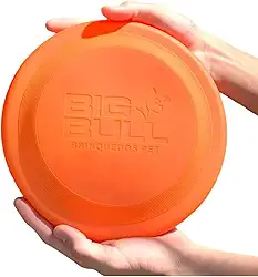 Frisbee para Cães, Brinquedo Atóxico, Resistente ao Sol e Calor, Disco Grande, Laranja (Laranja)