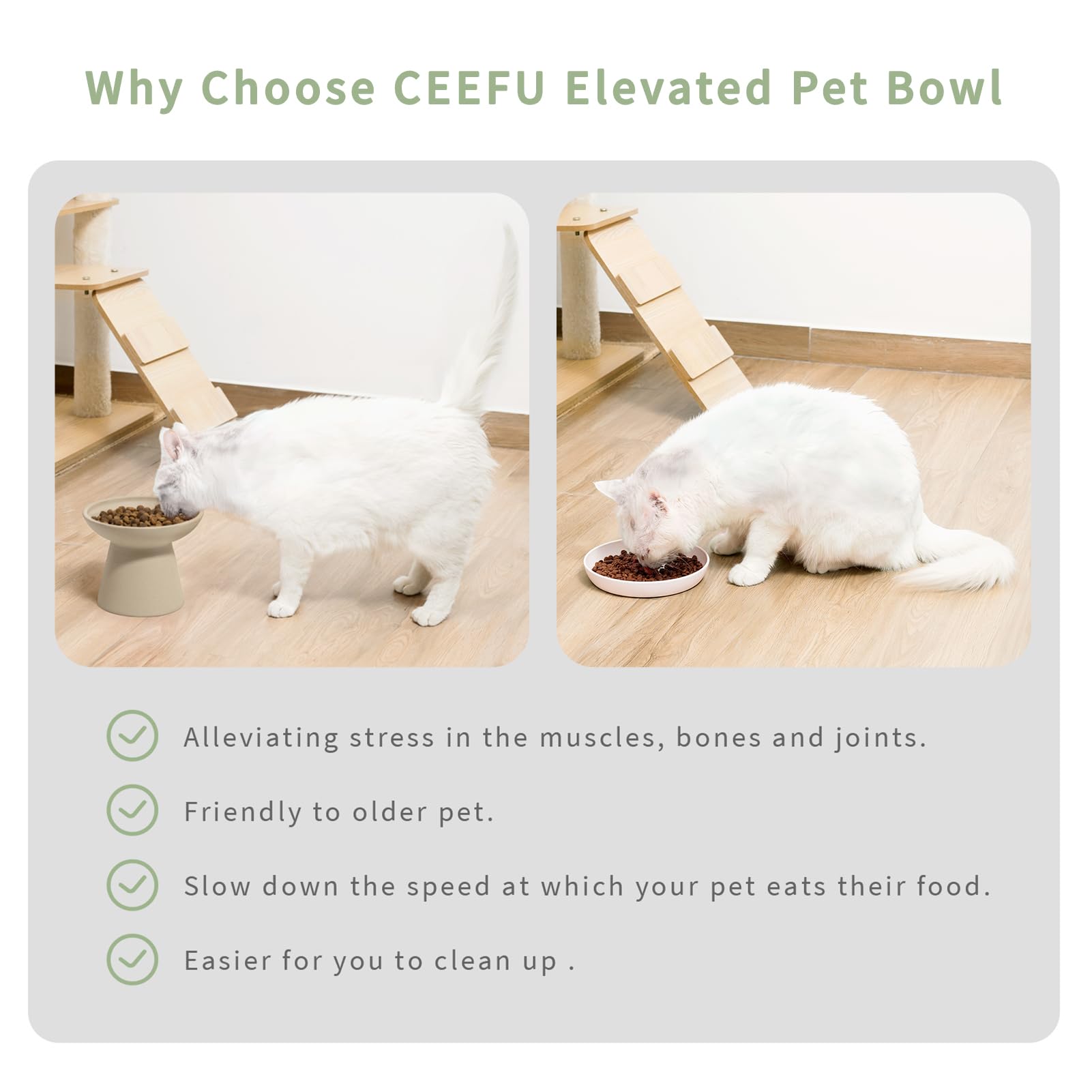 CEEFU Cuenco elevado de cerámica extra ancho para gatos, plato poco profundo de 6.2 pulgadas para aliviar la fatiga del bigote, 5 pulgadas de altura para una fácil alimentación, cuencos elevados