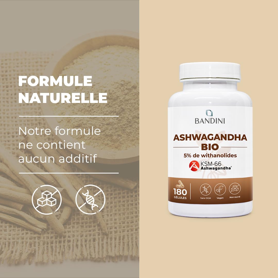 Bandini® Ashwagandha BIO KSM-66® Extra Fort - 500mg par dose, 5% de witanolides - 180 Gélules pour 6 mois - Poudre de Withania Somnifera 100% Végane - Bien-Être Physique & Mental, Tonus, Concentration
