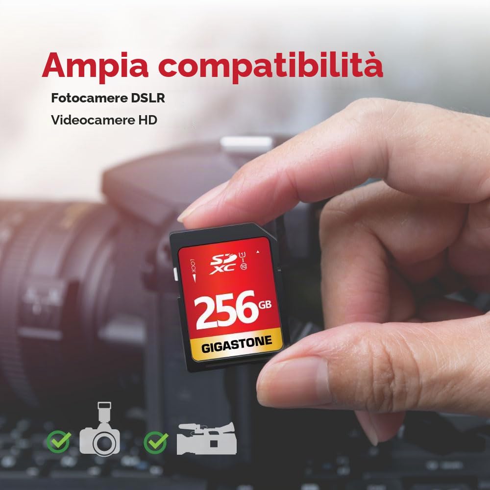 GIGASTONE Scheda SD 256 GB, Set da 2, 2 custodie mini, Scheda di Memoria SDXC, Velocità di Lettura Fino a 80 MB/sec, Classe 10 U1 UHS-I, Specialmente per Fotocamere Telecamera PC