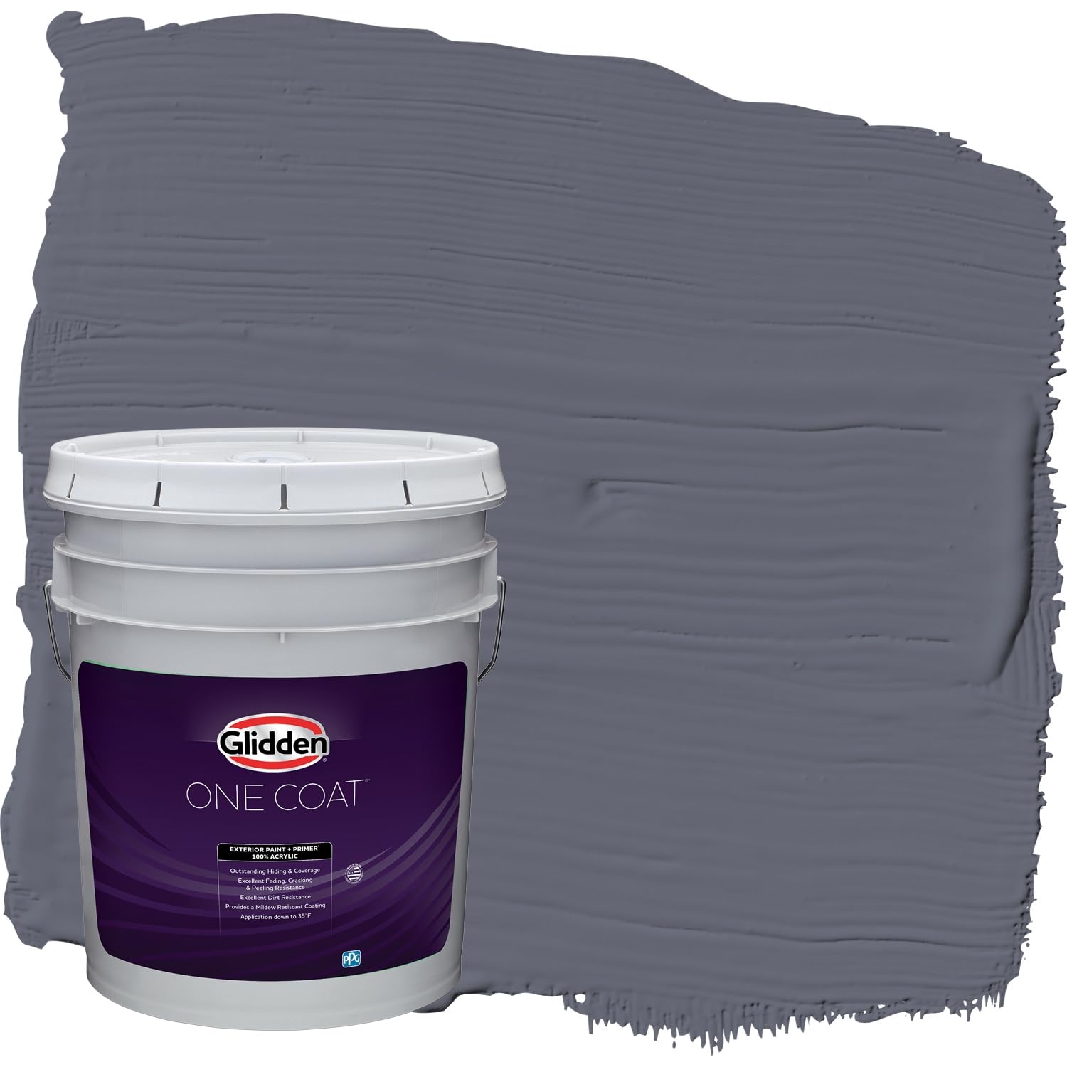 Glidden One Coat Alley Cat
