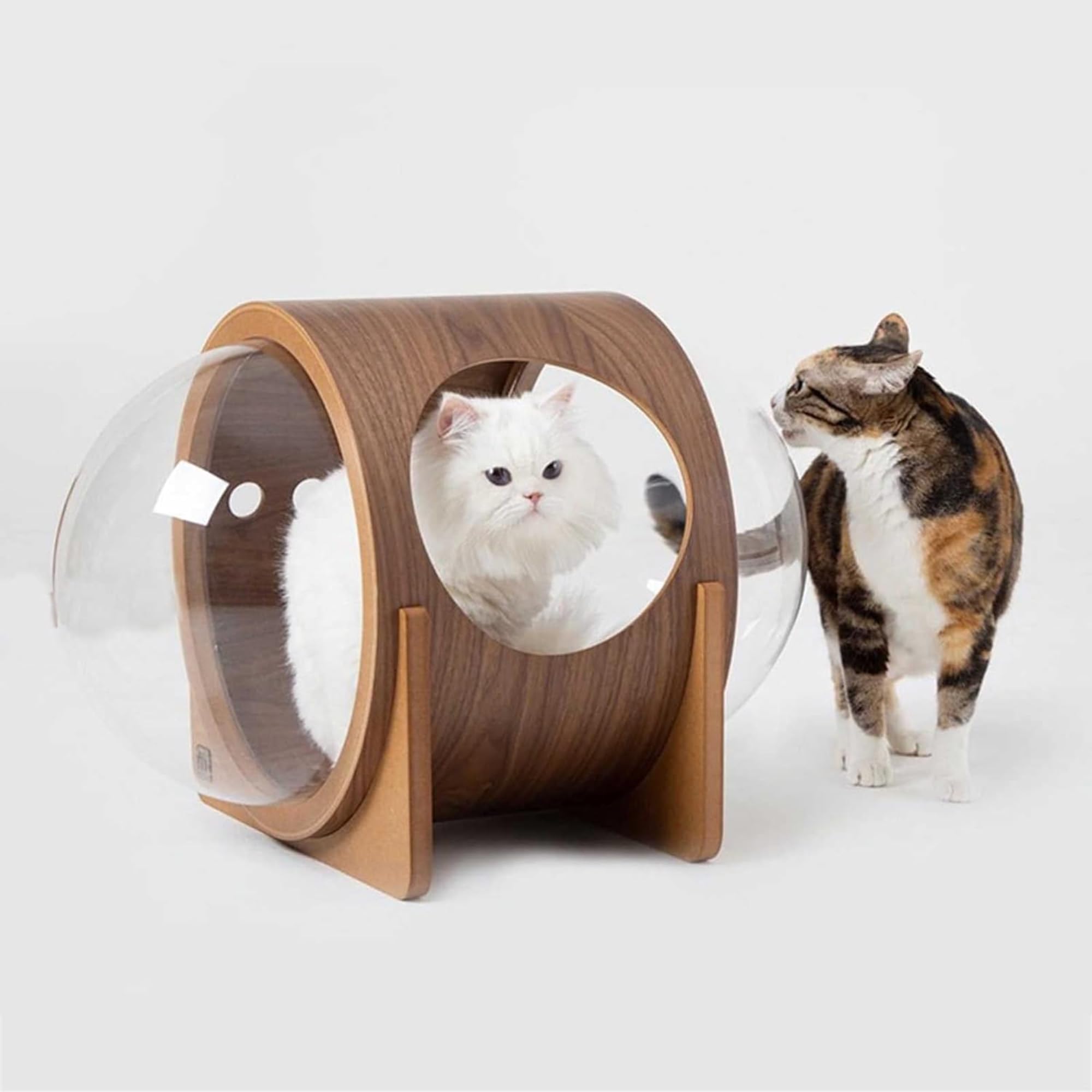 ペット 猫の隠れ家ドームハウス 6色 (M) pf-be-009_00.jpg