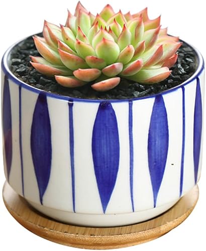 Miniatura 4 de GeLive Maceta de cerámica para suculentas de 3 pulgadas, maceta de cactus, contenedor de flores con bandeja de goteo de bambú, para interiores y