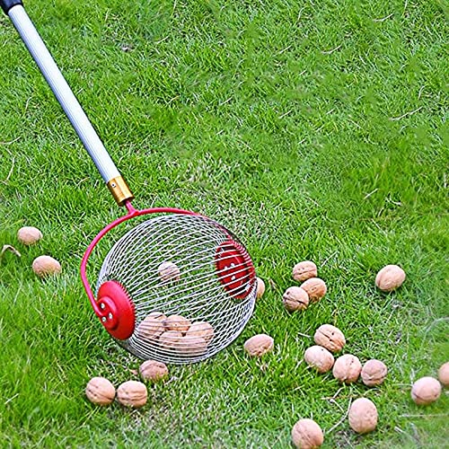 Rouleau Ramasse Noix, collecteur de Noix réglable Récolteuse de Fruits à Rouleaux de Jardin pour ramasser des Noix, des Glands, des Noix de pécan, des Boules et d'autres Objets sans se pencher
