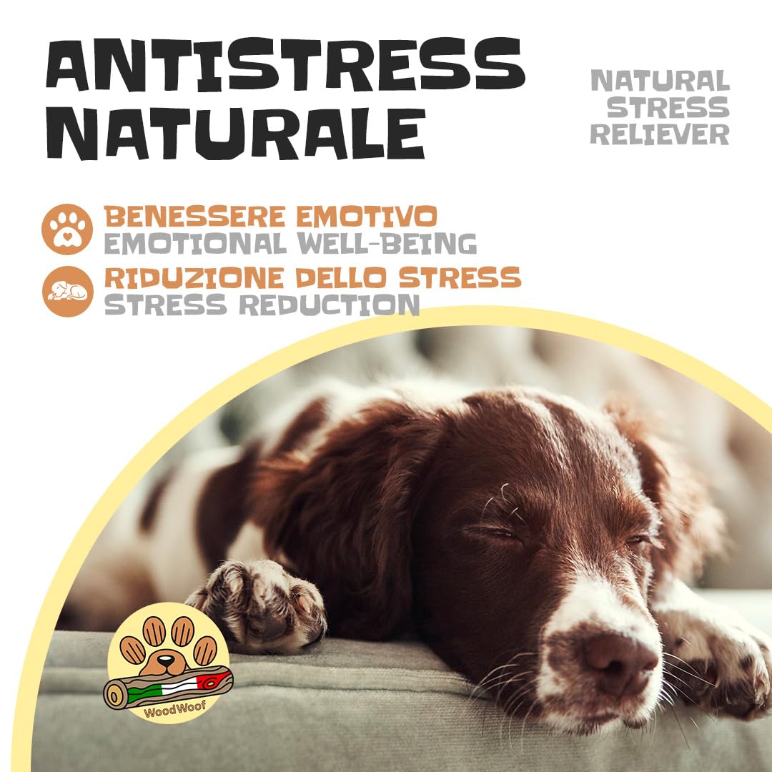 WoodWoof Masticativi Naturali per Cani - Radice di Erica M 200-400 g - Antistress, Senza Additivi, Igiene Dentale - Cani 15-25 kg