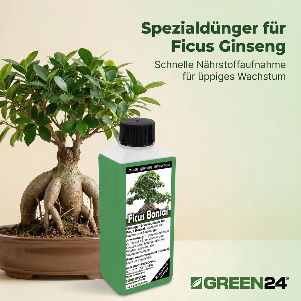 Ficus Ginseng retusa microcarpa Bonsai Dnger, Chinesische Feige, flssig  dngen : Amazon.de: Garten