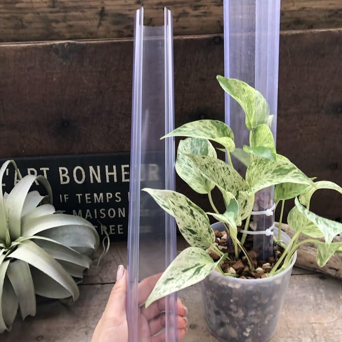 Amazon｜ねこ型登り棒 M/長さ 50cm 花森家 蔓性つる 観葉植物｜観葉