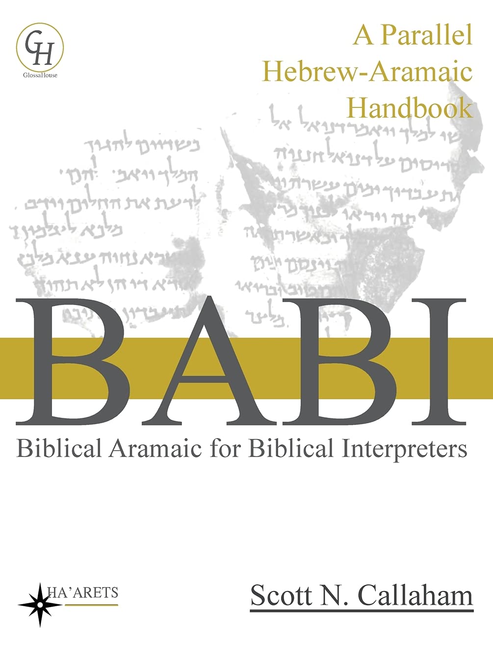 Biblical Aramaic for Biblical Interpreters: A Parallel Hebrew-Aramaic Handbook: 8 (Hebrew & Aramaic Accessible Resources for Exegetical and Theological Studies)
