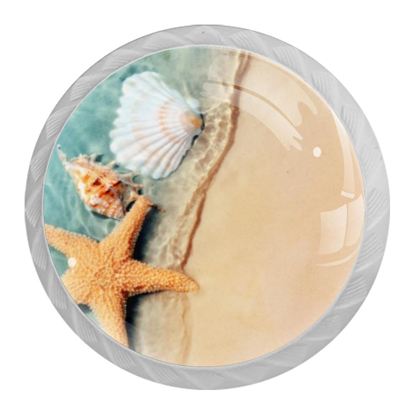 Tqmspg Multi Starfish Shell Beach