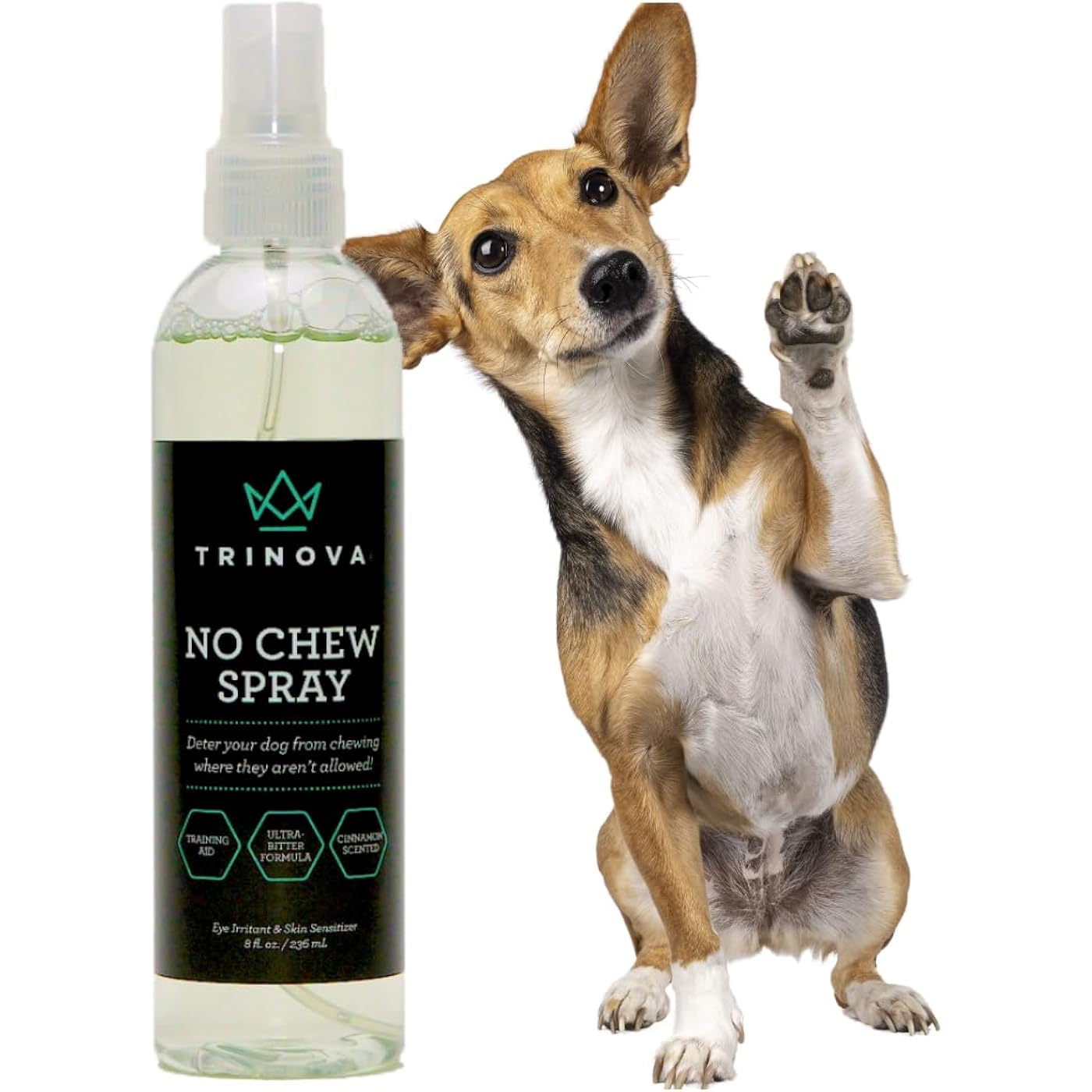Gallery image 1