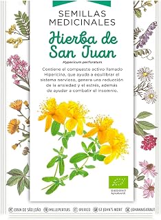 Semillas Medicinales - Hierba de San Juan - Semillas listas para plantar.