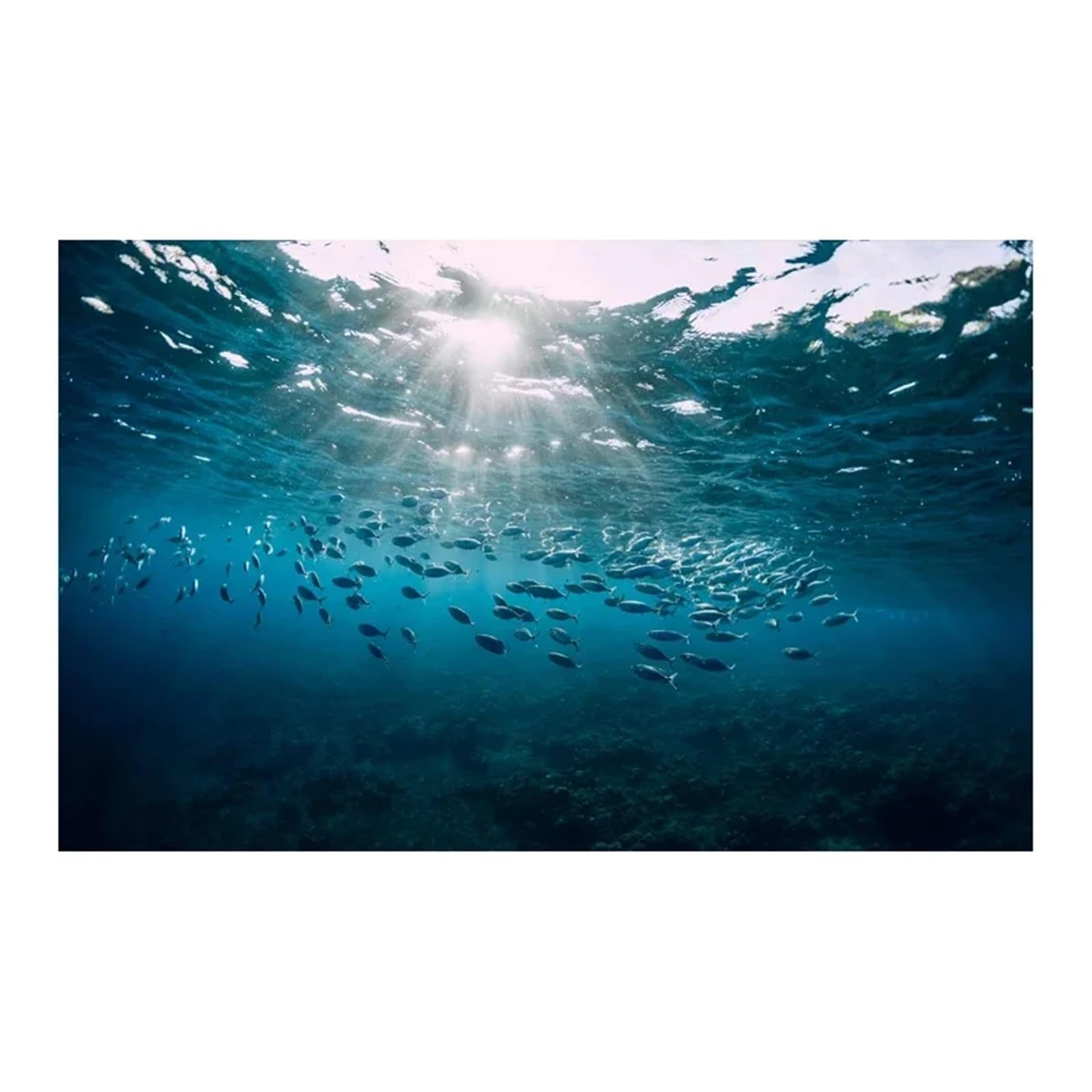 Fond Aquarium Affiche de Fond d'aquarium 3D, Autocollant adhésif en PVC, arrière-Plan du Monde sous-Marin, Plantes d'océan et mer(Green,50x100cm)