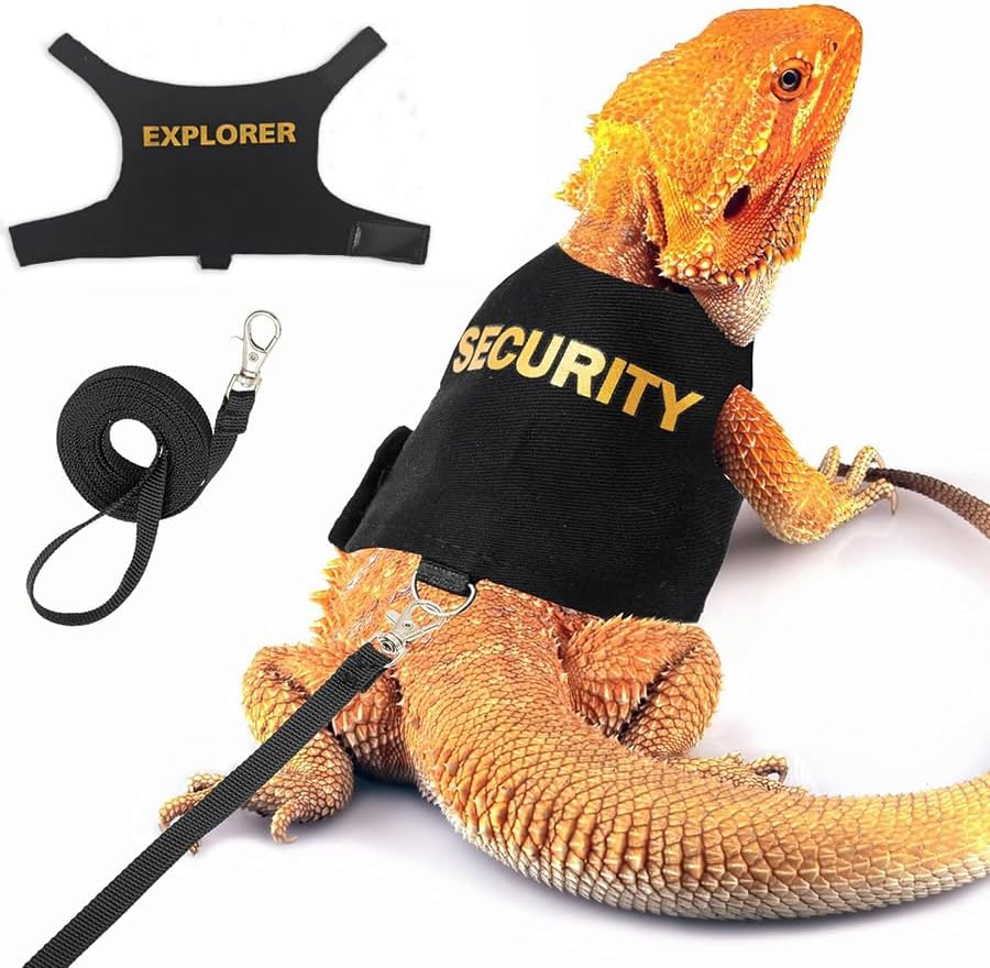 Bearded Dragon Harness and Leash Harness Set, Detachable Leash for Bearded Dragon Lizard Reptiles Walking Outdoor