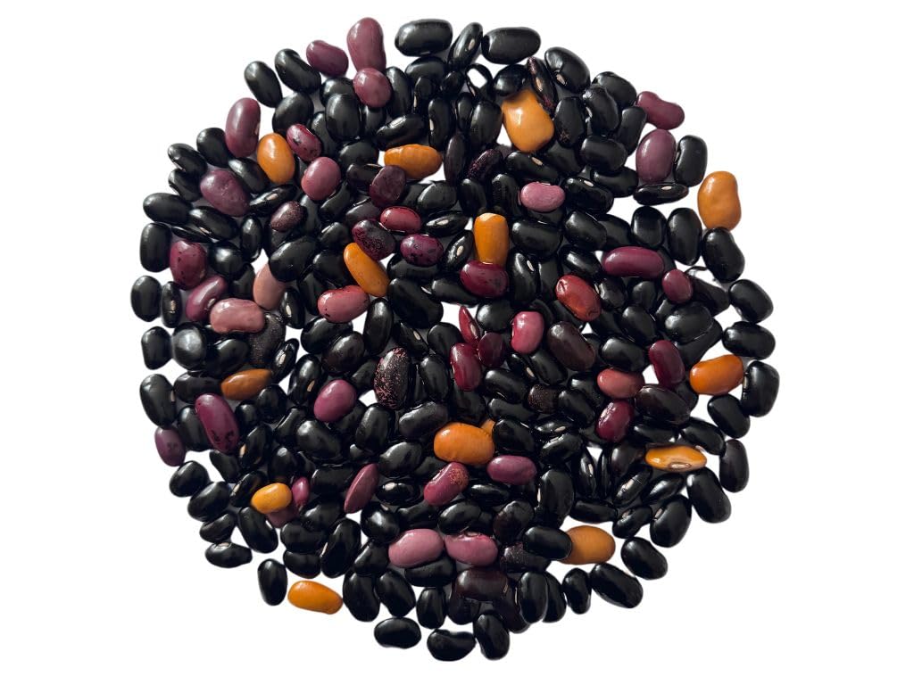 Premium Mexican Ayocote Pinto Beans (Frijol Ayocote Pinto), Whole Dried – Food-Service Bulk 5 lb – Heirloom Variety