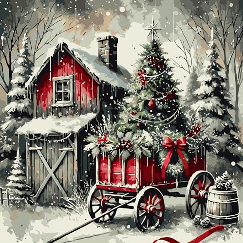 Paint Numbers Adults Beginner
