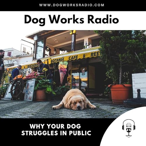 The Calm Caf&eacute; Dog: How to Teach Your Dog to Settle Anywhere