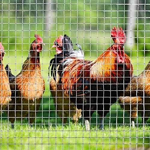 304 Stainless Steel Welded Wire Mesh - 10mm Hole Hardware Cloth for Poultry Enclosure, Garden Fencing, Durable Chicken Wire, Outdoor Use, Sturdy Woven Net