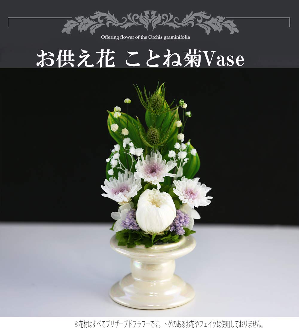 Amazon｜アートフォーシーズン 仏花 ことね菊Vase ホワイト