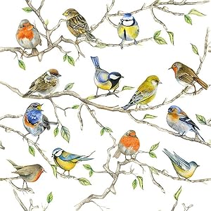 20-ct 6.5 Bird Napkins for Decoupage Beautiful Napkins Bird Paper Napkins Mother's Day Napkins Spring Napkins Paper Decorative Napkins Decoupage All Season Napkins Pretty Napkins Father's napkins 20 ct 65 Bird Napkins for Decoupage Beautiful Napkins Bird Paper Napkins Mothers Day Napkins Spring Napkins Paper Decorative Napkins Decoupage All Season Napkins Pretty Napkins Fathers napkins
