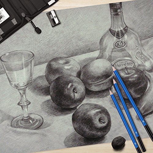 YOHOOLYO 40PCS Matite da Disegno Kit Matite per