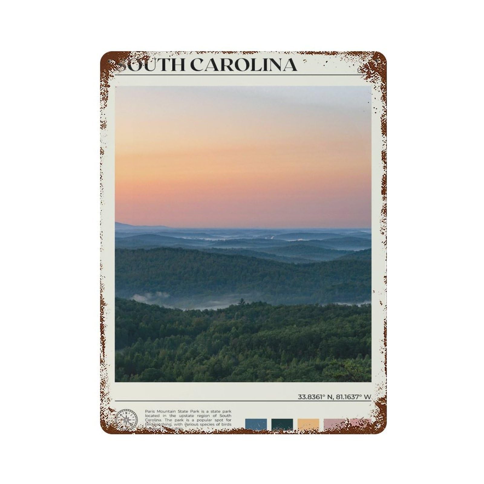 xiaoxiaoshen Real Photo South Carolina Decor Wall Decor Art Metal Tin Poster Modern Home Decor Art Home Bar Shop Decorations Vintage Sign 40x30cm