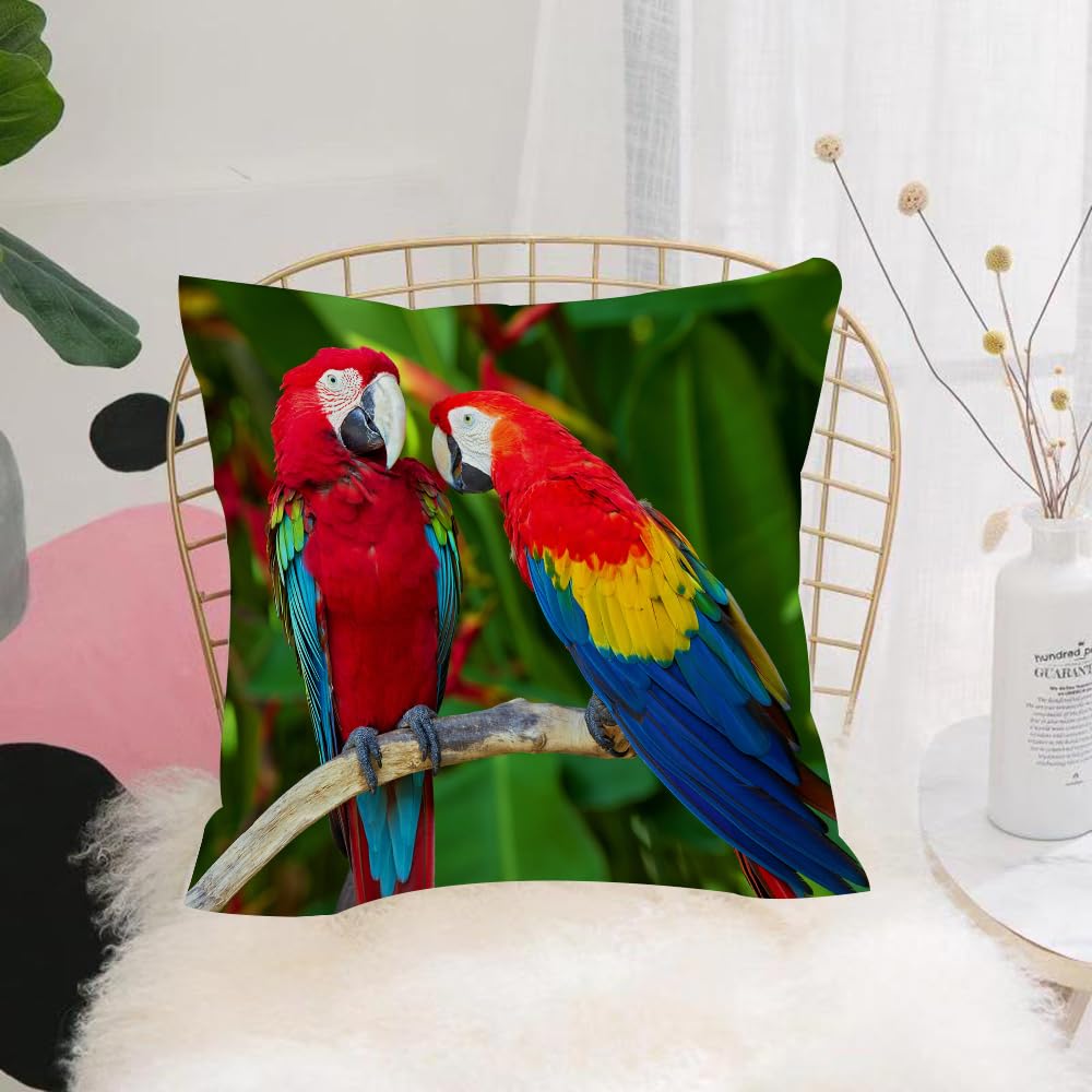 HYMSXW Cushion Cover,Throw Pillow Case Home Decorative for Living Room Bedroom Sofa Chair 20X20 Inch,Colorful Jungle Parrot Birds Perch on Branch,Pillowcase 50X50cm