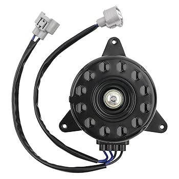 Rin 20240223094547_19193.png