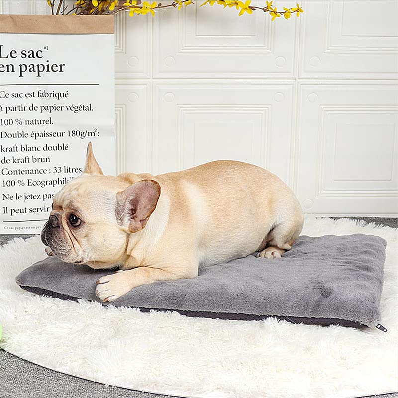 Amazon | ペットベッ犬 ベッド ベッド・クッション 低反発犬用 Amazon | ペットベッ犬 ベッド ベッド・クッション 低反発犬用