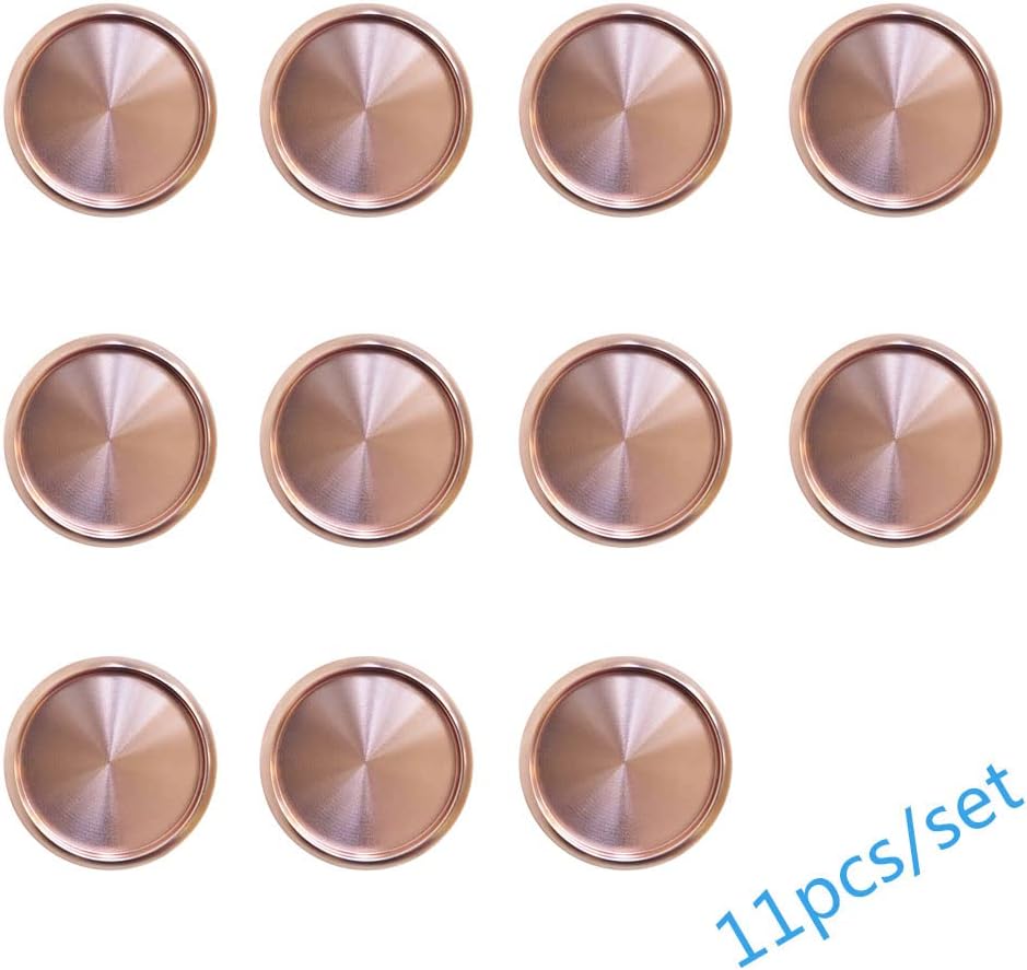 11PCS Premium 1.5 Inch Aluminum Discs for Discbound Notebook (Rose Golden)