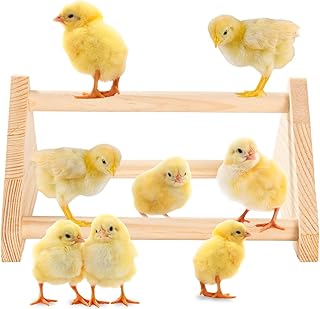 Chicken Perch and Roosting Bar for Coop - Natural Wooden Chicken Roost with Stand for Hens and Baby Chicks - Adjustable Indoor & Outdoor Poultry Perching Pole (Shape-4)