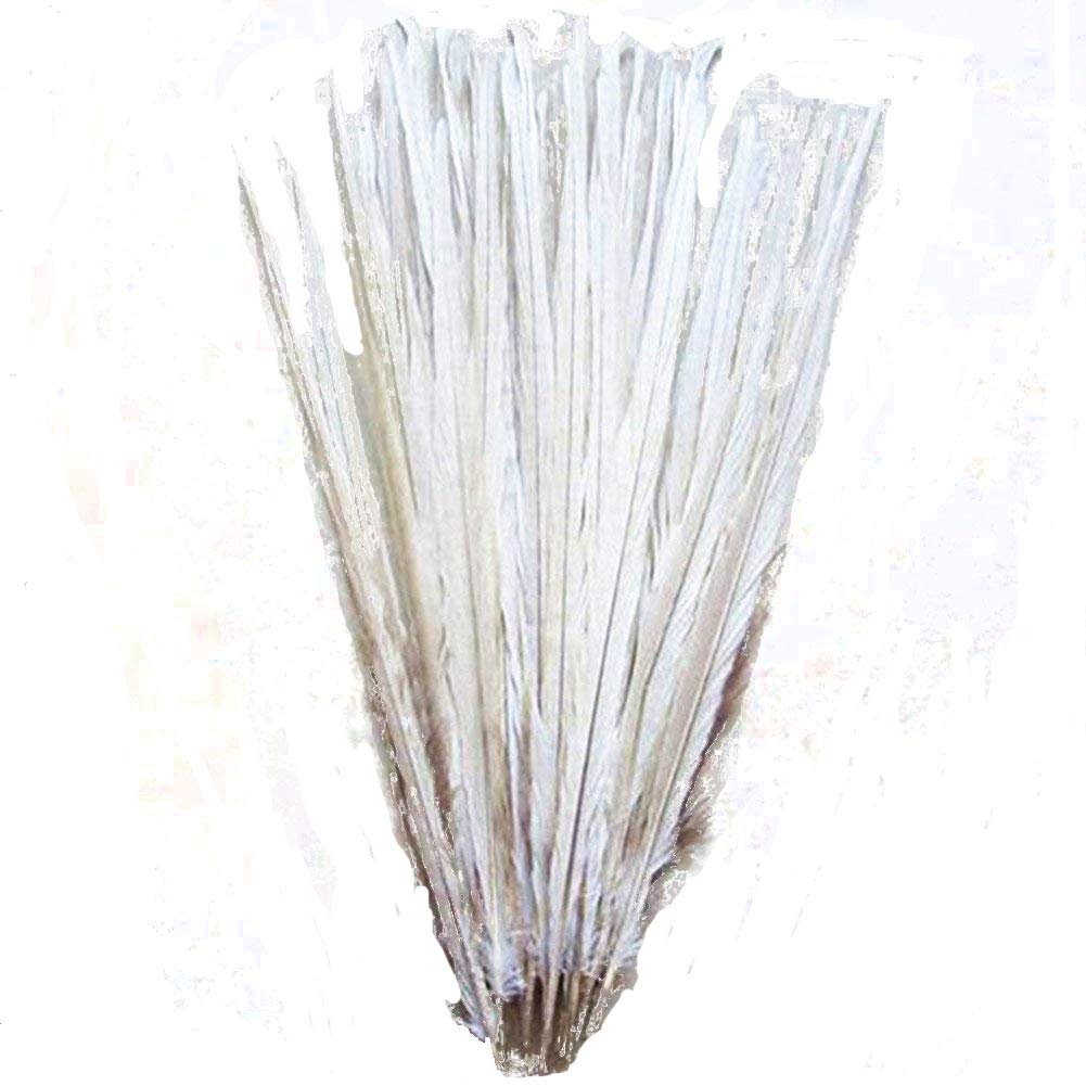 CENFRY Pack of 10 Natural Bleached Dyed 12-14inch Pheasant Tails Feathers Costume Craft Decoration (Cream)