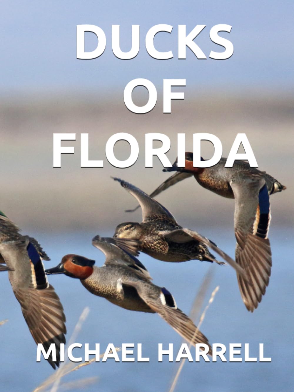 DUCKS OF FLORIDA (Wildlife of North America and other educational books.)      Hardcover – September 8, 2023