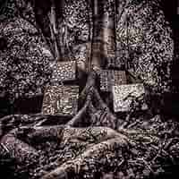 Kamasi Washington Album 4 CD まとめ売り 61KCUJT+jlL._UF350,350_QL50_.jpg