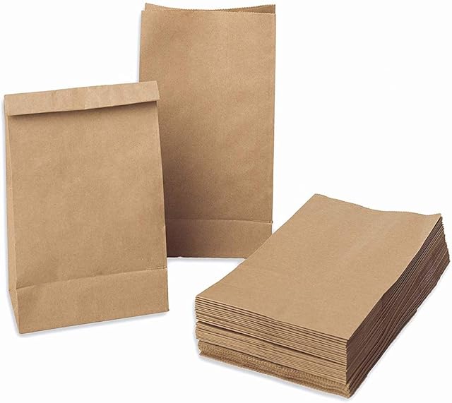 Brown Paper Bags 100 Small Kraft Paper Favour Bags Party Gift Bags Flat Bottom Lunch Bags Takeaway Paper Carrier Bags Treat Bags for Wedding Birthday Baby Shower Halloween Christmas, 18 x 9 x 5.5cm