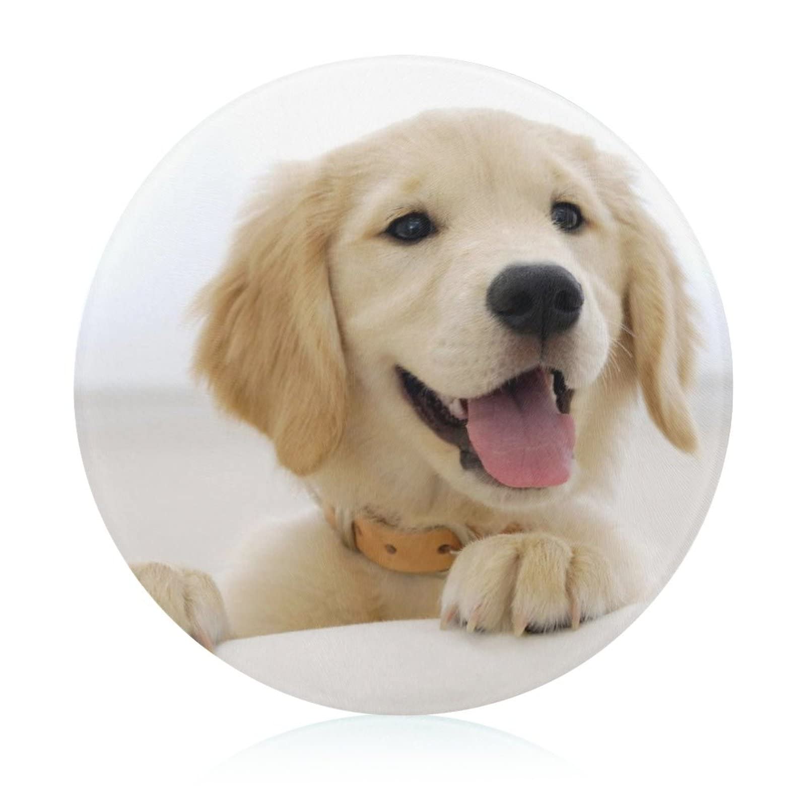 Planche à hacher Golden Retriever de 20 cm idéale pour cuisiner sainement