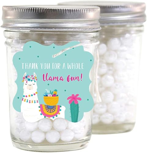 Vista 172 de Andaz Press Fiesta de llama y cactus, recuerdos de fiesta de bálsamo labial, bálsamo de llama, paquete de 12, decoración temática bohemia de llama